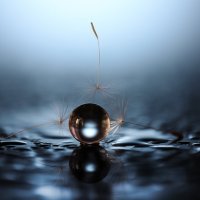 Вопрос баланса :: Игорь Шевченко