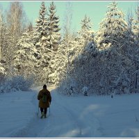 Когда зима не идет к нам ,мы идем к ней :: Aleksandr Gal