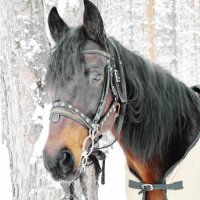 ожидание :: Владимир 