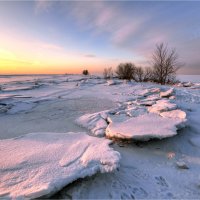 *** :: Алексей Говорушкин 