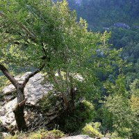 Ахштырское ущелье Сочи :: Tata Wolf