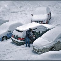 УТРО :: Александр Копалов