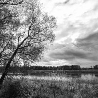 Б/Н :: Николай 