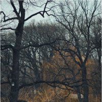 Искренность и подлинность момента :: Сергей В