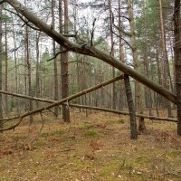 Урок геометрии. :: Сергей Татаринов