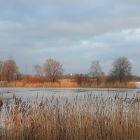 Весна 2025. Март :: Наталья Герасимова