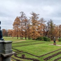 Осень :: Сапсан 