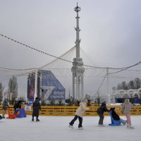 Все на каток! :: Татьяна Машошина