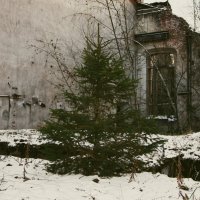 елочка :: fogmeadowww m