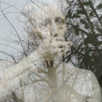 *** :: Алла Булашевская