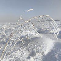 Зима :: Anna Ivanova