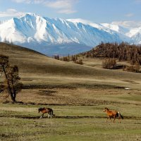 Просторы :: елена беликова