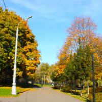 РАЗНОЦВЕТНАЯ ОСЕНЬ В ПАРКЕ :: Валентина 