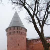 Туманное, декабрьское утро. :: Милешкин Владимир Алексеевич 