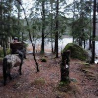 Прогулка в лесу. Зима. Декабрь. :: Ольга 