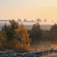 Утро. :: Александр. AVG100 ---