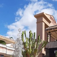 Кактусовая ёлка :: Ольга 