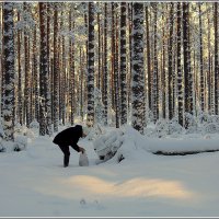 Делать добро :: Aleksandr Gal