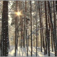 Светит но не греет :: Aleksandr Gal