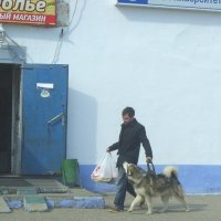 Хозяин, давай за пельмешками зайдём! :: Галина Кузьмина Хозяин, давай за пельмешками зайдём! :: Галина Кузьмина