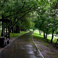 Городской парк :: Игорь Белоногов