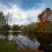 Ноябрьское... :: Николай Гирш