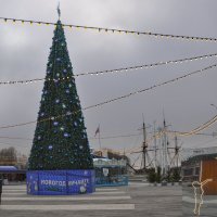 Новогоднее дерево :: Татьяна Машошина