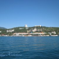 Природа Крыма :: Amazing Cosmea