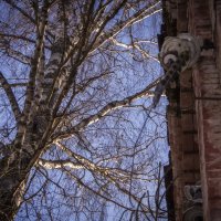 без названия :: fogmeadowww m