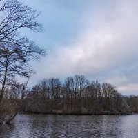 В середине зимы... :: Николай Гирш