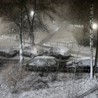 Весна 2025. Апрель :: Наталья Герасимова