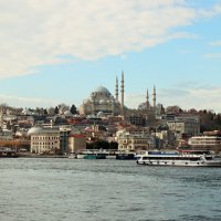 *** :: веселов михаил 