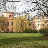 Весна 2025. Апрель :: Наталья Герасимова