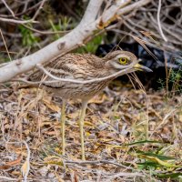 ישראל :: Андрей 