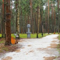 Природа Смоленщины за 10 дней до Нового года. :: Милешкин Владимир Алексеевич 