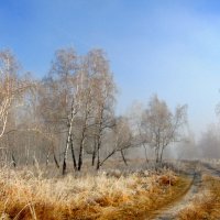 Первые заморозки. :: nadyasilyuk Вознюк