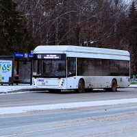 Новочебоксарск. Троллейбус УТТЗ – 6241.01 «Горожанин» на улице Винокурова. :: Пётр Чернега