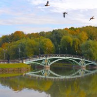 Осень в музее-усадьбе Царицыно. :: Константин Анисимов