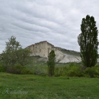 Природа Крыма :: Amazing Cosmea