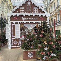 Новогодняя Москва :: Ольга Довженко