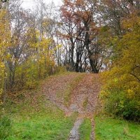 Ашманн парк, Калининград :: Рита Симонова