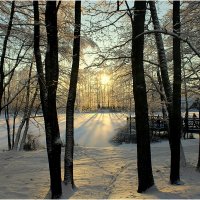 *** :: Aleksandr Gal