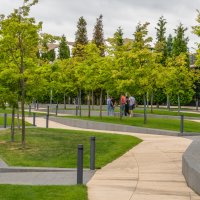 В парке Галицкого :: Игорь Сикорский