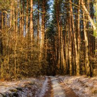 ______ :: Галина Ложечникова