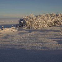 Зимние Штрихи .. :: Татьян@ Ивановна