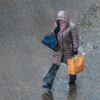 Домой, домой ... скорей домой. :: Анатолий. Chesnavik.