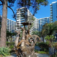 Адлер... ноябрь... :: Нина Бутко