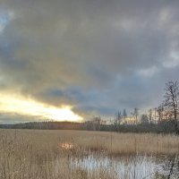 *** :: Ольга Попова (popova/j2011)