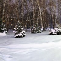 У нас зима в Сибири . Предновогоднее . :: Мила Бовкун