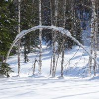 Поклон :: Павел Трунцев